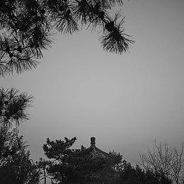 Steam最新一周销量榜 《博德之门3》重回榜首